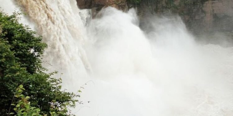 Gokak Falls in magnificent overflow: tourists thrilled by  India’s Niagara