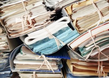 Belagavi Administration Takes Action: Tender Issued to Tackle Rat Menace