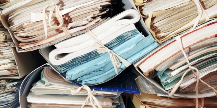 Belagavi Administration Takes Action: Tender Issued to Tackle Rat Menace