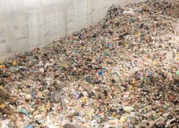 Turning waste into power: Belagavi city corporation’s green initiative