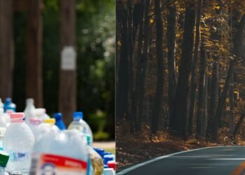 Belgaum City Corporation takes green initiative: Plans to pave roads using plastic waste