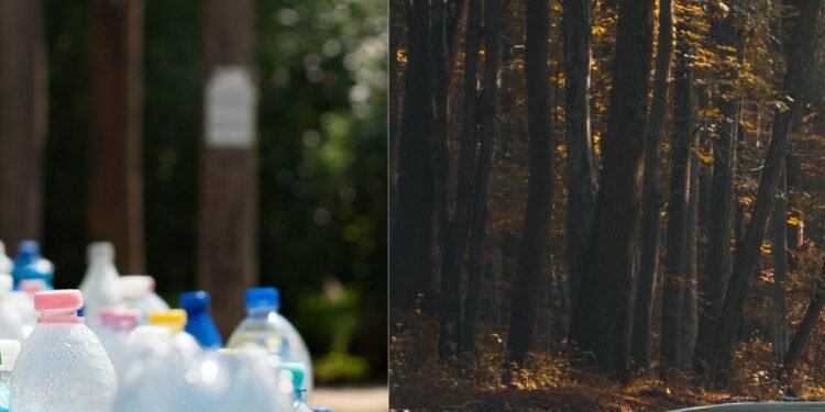 Belgaum City Corporation takes green initiative: Plans to pave roads using plastic waste