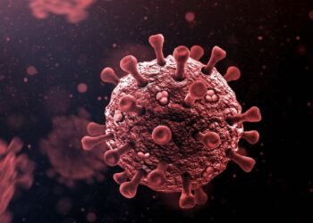 Cases of COVID-19 sub-variant JN1 rises in Goa and Karnataka ahead of New Year