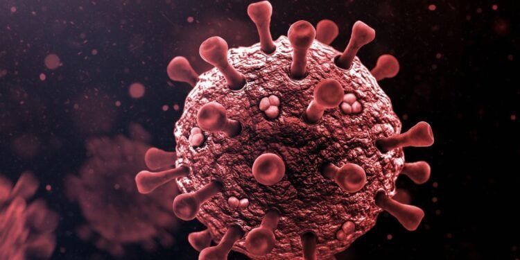 Cases of COVID-19 sub-variant JN1 rises in Goa and Karnataka ahead of New Year