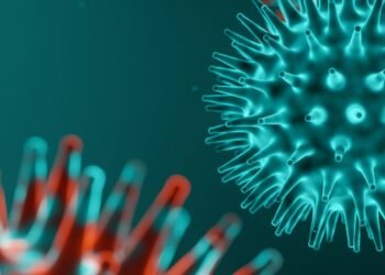 Deputy commissioner urges urgent action as JN-1 Mutant virus cases rise in Belgaum