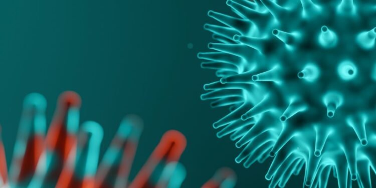 Deputy commissioner urges urgent action as JN-1 Mutant virus cases rise in Belgaum