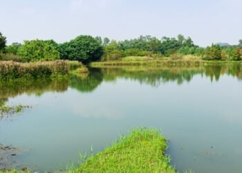Farm ponds to be built at Belgaum