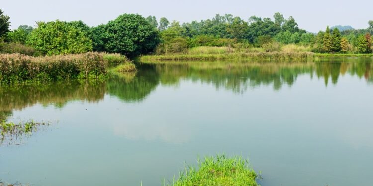 Farm ponds to be built at Belgaum