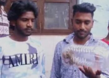 Belgaum Resident Captures Snake After Being Bitten, Takes Unusual Step for Treatment