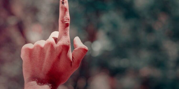 Civil Society Says, Excluded from Foreign Team Observing Karnataka Elections