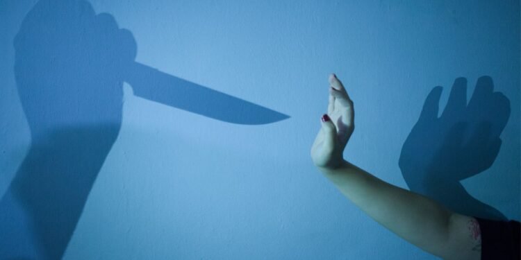 Concerns Mount Over Railway Security Amidst Recent Attacks on Moving Trains