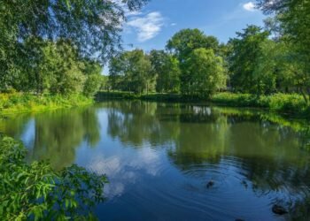 Emergency Landing of Training Aircraft in Belgaum; Pilots Suffer Minor Injuries