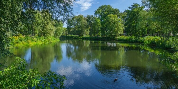 Emergency Landing of Training Aircraft in Belgaum; Pilots Suffer Minor Injuries