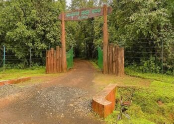 Karnataka Forest Retrieves Hemmadaga Nature Camp from Private Operator