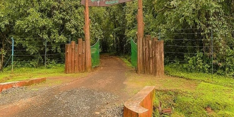 Karnataka Forest Retrieves Hemmadaga Nature Camp from Private Operator