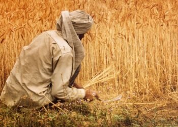 Relief funds for farmers affected by crop loss in Belgaum disbursed