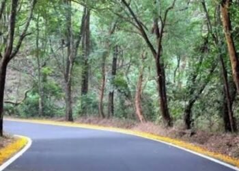 Drivers Demand Removal of Hazardous Trees on Jamboti-Khanapur Highway