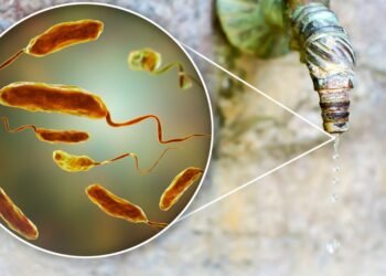 Health Authorities Alerted as Contaminated Water Claims Life in Gokak Village