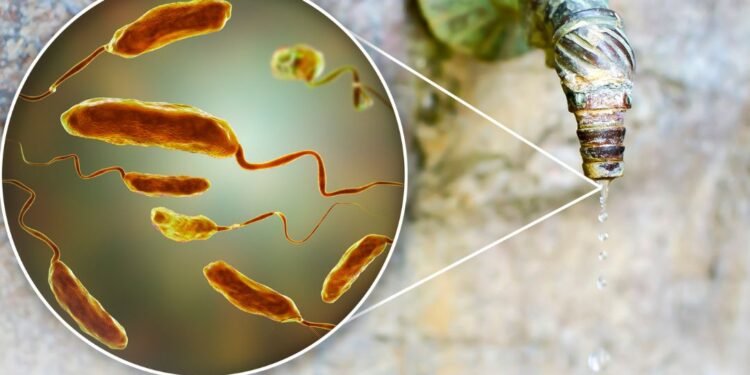 Health Authorities Alerted as Contaminated Water Claims Life in Gokak Village