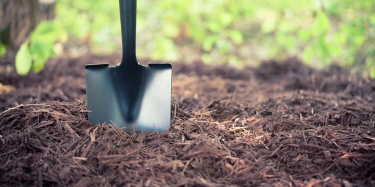 Kittur’s Shocking Find: Garden Graves Uncover Fetus Burials