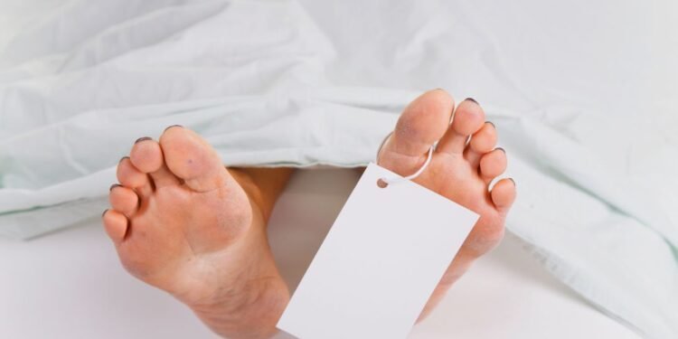 38-year-old Woman Carried 10km in Forest on Stretcher, Dies in Hospital