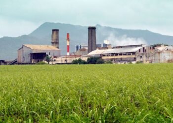 Belgaum Sugar Factory Faces CPCB Scrutiny Over Environmental Violations