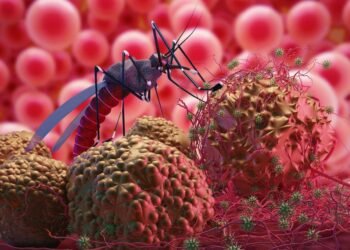 Belgaum on Alert Amid Rising Zika Cases in Maharashtra