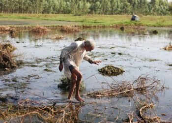 Heavy Rains Submerge Bridges in Belgaum: Crops Damaged, Lives Lost