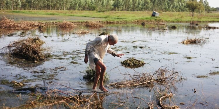 Heavy Rains Submerge Bridges in Belgaum: Crops Damaged, Lives Lost