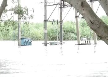 Krishna River Rages, Endangers 20,000 Lives: 55 Villages Damaged