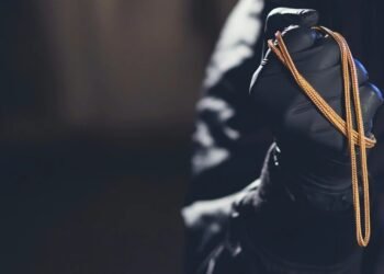 Spike in Thefts Sparks Fears of Irani Gang Activity; Police Intensify Search