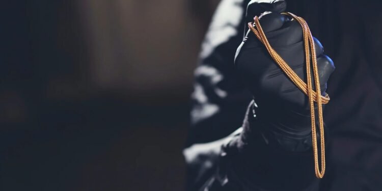 Spike in Thefts Sparks Fears of Irani Gang Activity; Police Intensify Search