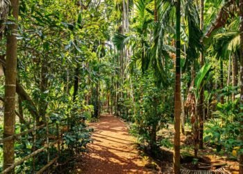 Khanapur forest dwellers reject relocation proposal, demand local development