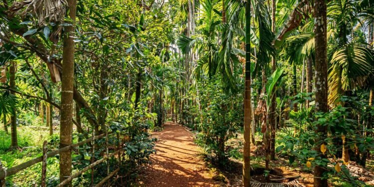 Khanapur forest dwellers reject relocation proposal, demand local development