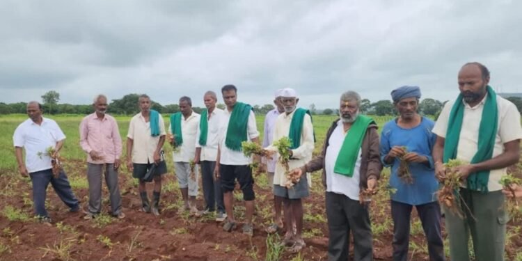 Belagavi farmers left frustrated after receiving just ₹70 crore for ₹700 crore loss