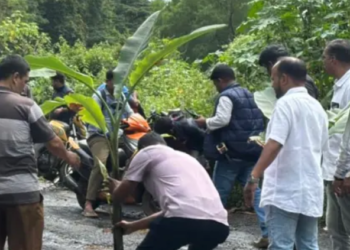Belagavi residents plant trees in potholes to protest hazardous road