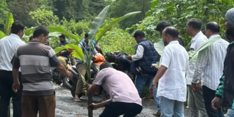 Belagavi residents plant trees in potholes to protest hazardous road