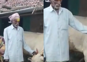 Farmer woman buys bull with Gruha Lakshmi Yojana funds in Gokak, Belagavi