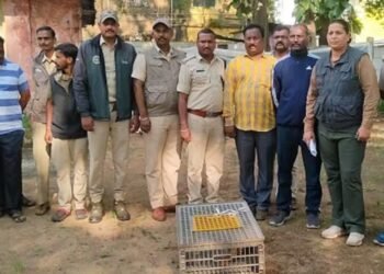 Forest Department cracks down on gang smuggling shelled pork to China, two arrested in Khanapur, Belgaum