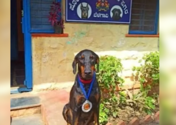 Belagavi Police Dogs grab 1st and 2nd place in explosives detection at state meet