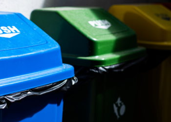 Bus veers into sugarcane field after technical fault, passengers injured in Belagavi