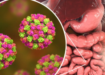 Kasanal village in Chikodi reports suspected gastroenteritis outbreak, 1 dead, 30 infected