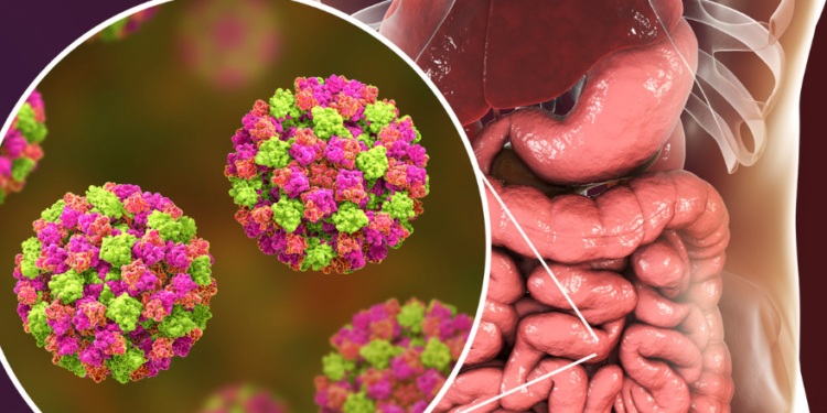 Kasanal village in Chikodi reports suspected gastroenteritis outbreak, 1 dead, 30 infected