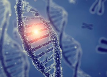 Belagavi to host Science Hack Day 2024 starting Friday