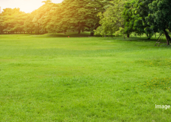 BJP MLC CT Ravi’s arrest leads to protests and accusations against Congress Govt