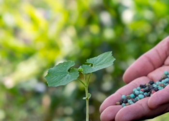 BJP MLC CT Ravi’s arrest leads to protests and accusations against Congress Govt