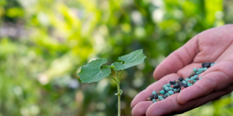 BJP MLC CT Ravi’s arrest leads to protests and accusations against Congress Govt