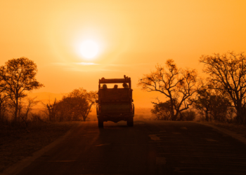 Bhimgad Wildlife Sanctuary to open 18 km for forest safari in bid to boost tourism