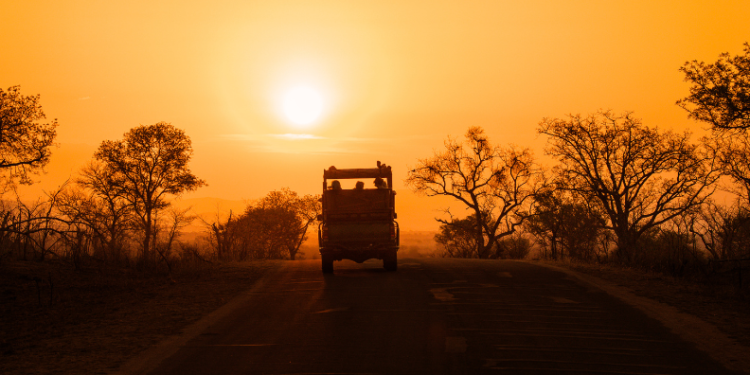 Bhimgad Wildlife Sanctuary to open 18 km for forest safari in bid to boost tourism