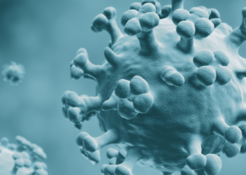 Belagavi on high alert over Guillain-Barre Syndrome and Bird Flu threats